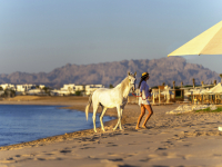 Rixos Premium Magawish Suites & Villas Hurghada