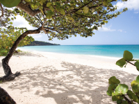 Spice Island Beach Resort Grand Anse Beach