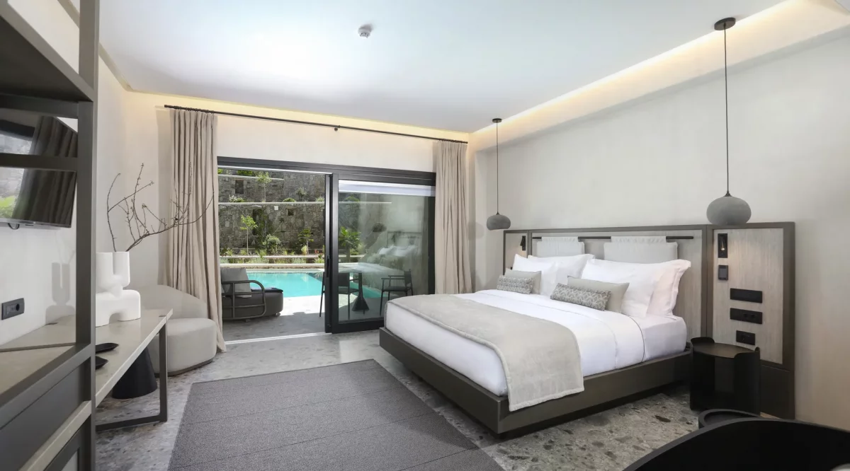 Eon Junior Suite with Supreme Pool and Garden View Aeonic Suites & Spa